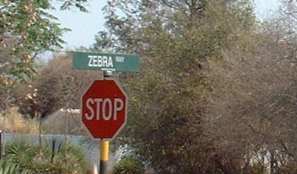 See Mma Ramotswe's house on Zebra Drive