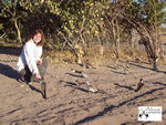 Go on a Birding Safari