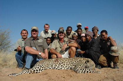 Big tom leopard