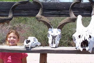 Display at entrance to park