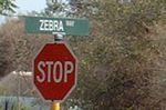 Zebra Way not Drive