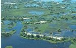 The Delta