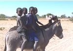 Boys on donkeys