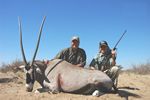 Gemsbok