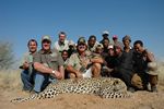 Big Kalahari leopard