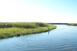 Okavango River