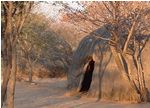 Grass huts at Trail Blazers