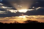 A Kalahari sunset