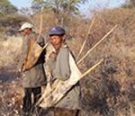 Go on a Birding Safari